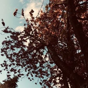 Meet your Posher, Nadia